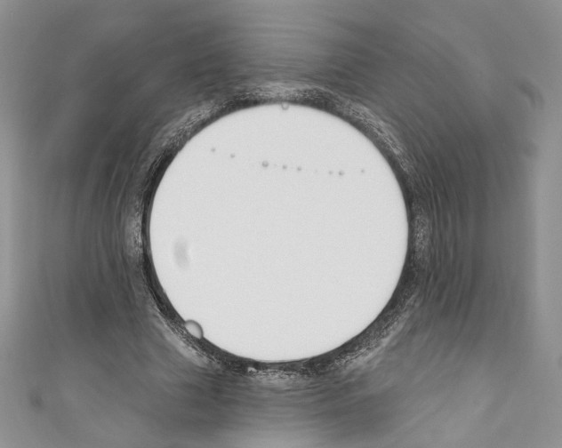 X0000110740633200907271102