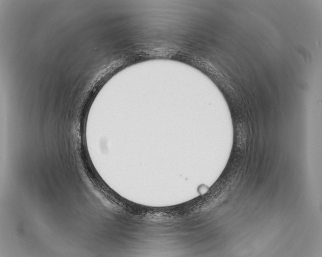 X0000110740634200907271102