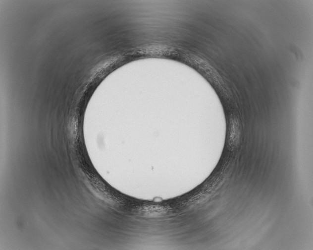 X0000110740636200907271102