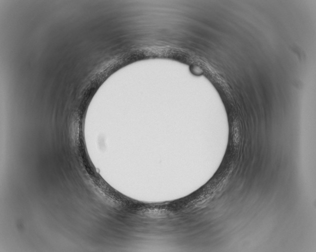 X0000110740637200907271102