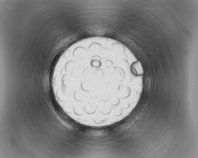 X0000110740638200907271102