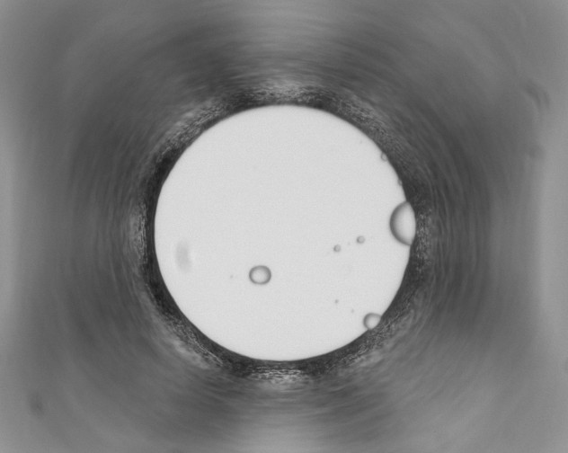 X0000110740642200907271102