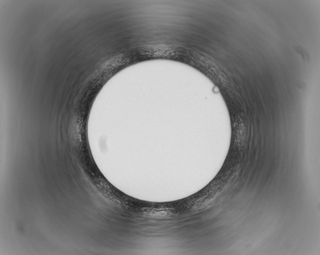 X0000110740643200907271102