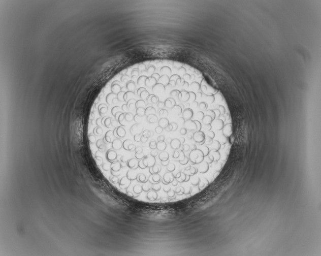 X0000110740646200907271102