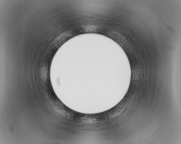 X0000110740648200907271102