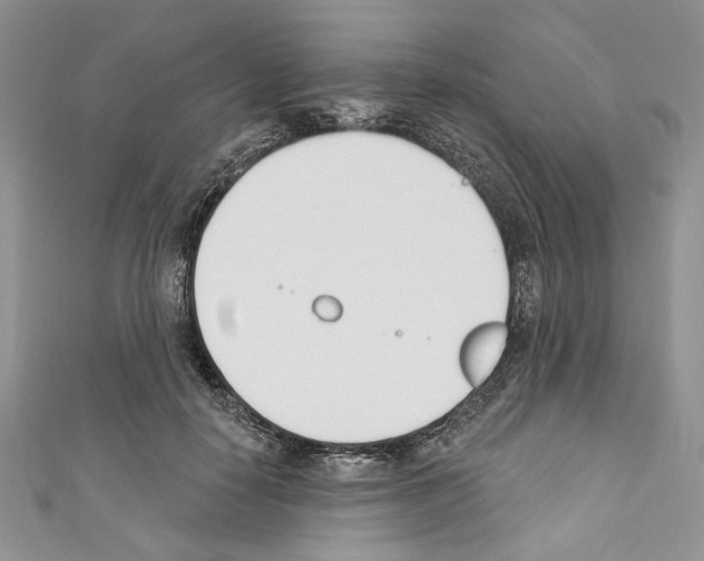 X0000110740650200907271102