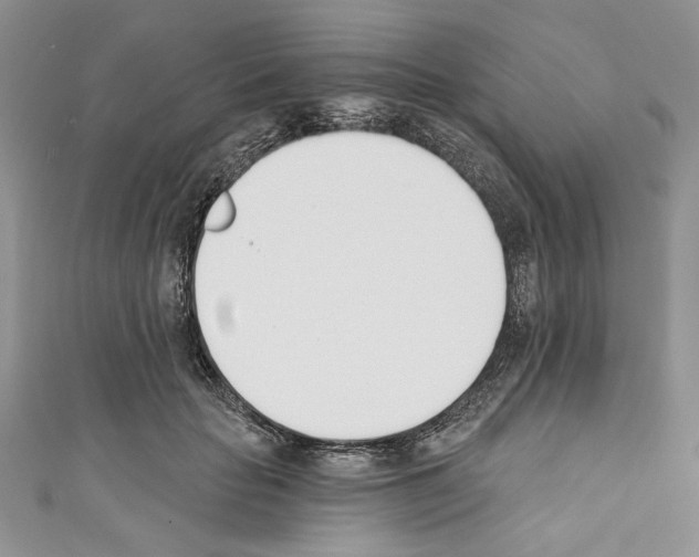 X0000110740653200907271102