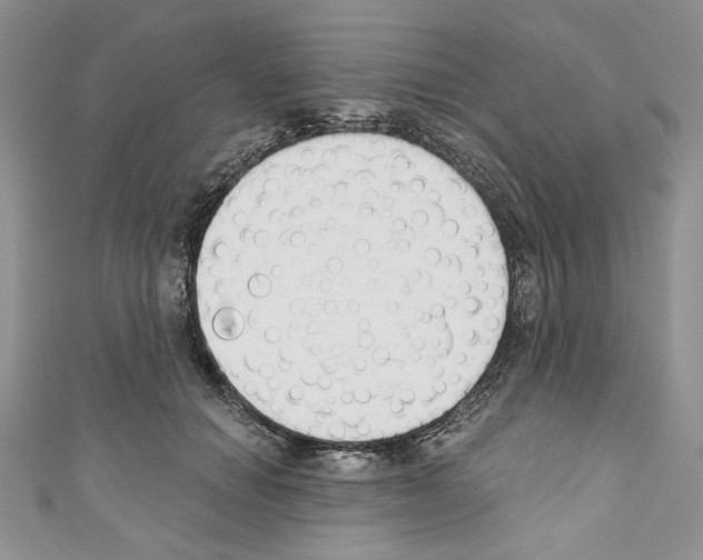 X0000110740654200907271102