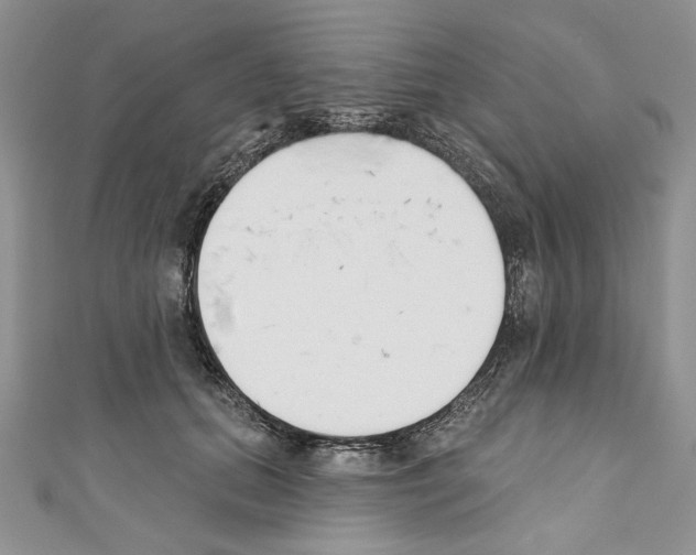 X0000110740655200907271102