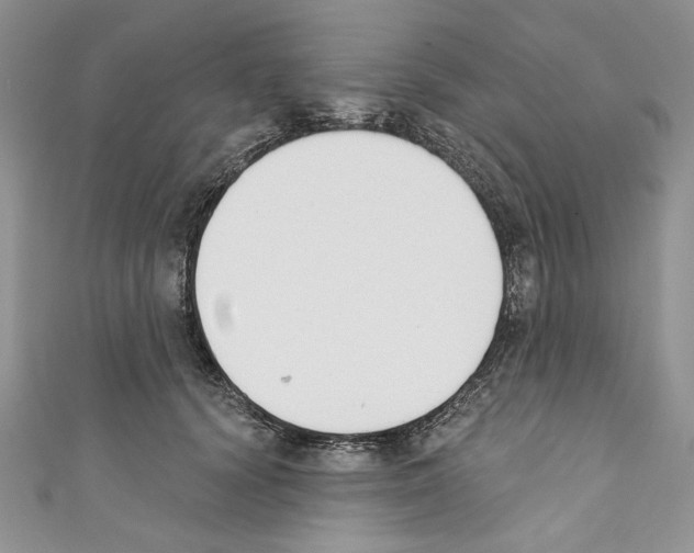 X0000110740656200907271102