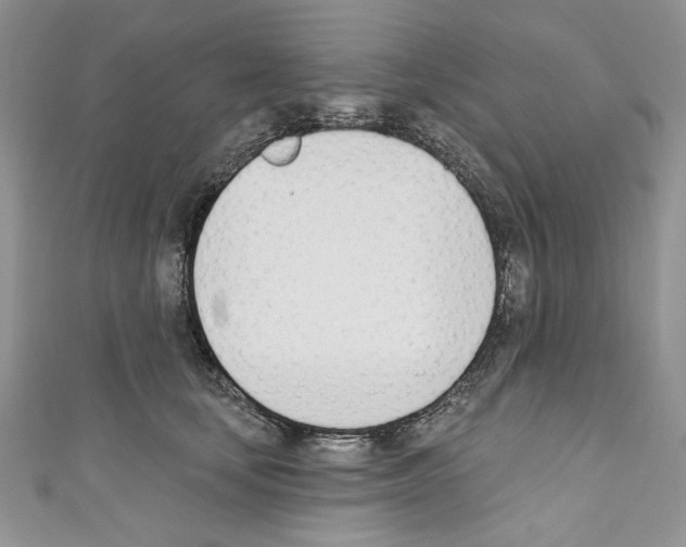 X0000110740659200907271102