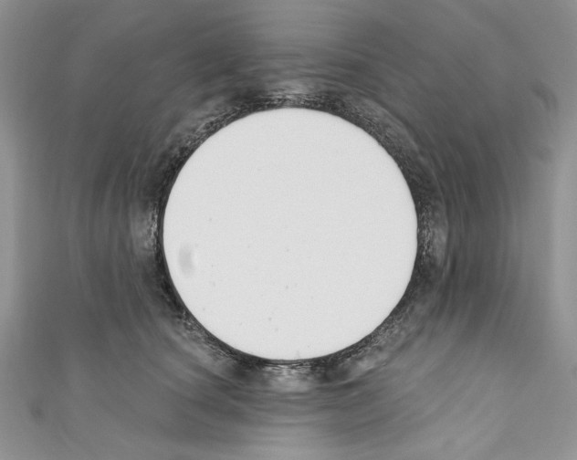 X0000110740660200907271102