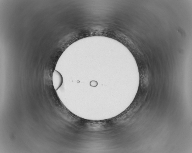 X0000110740661200907271102