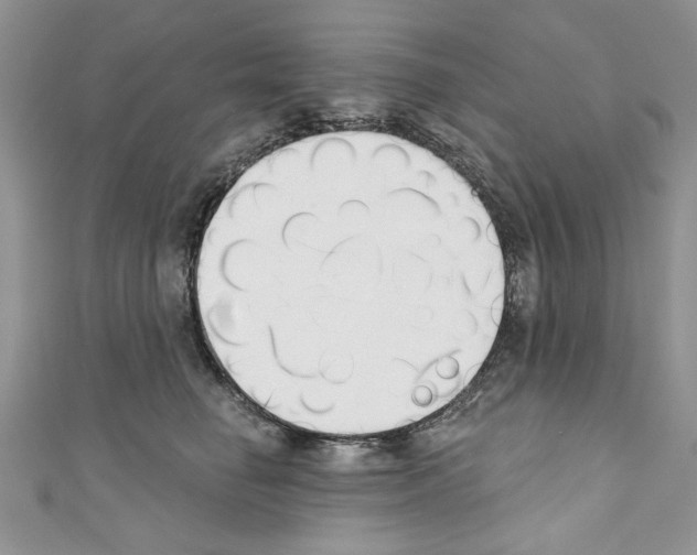 X0000110740662200907271102