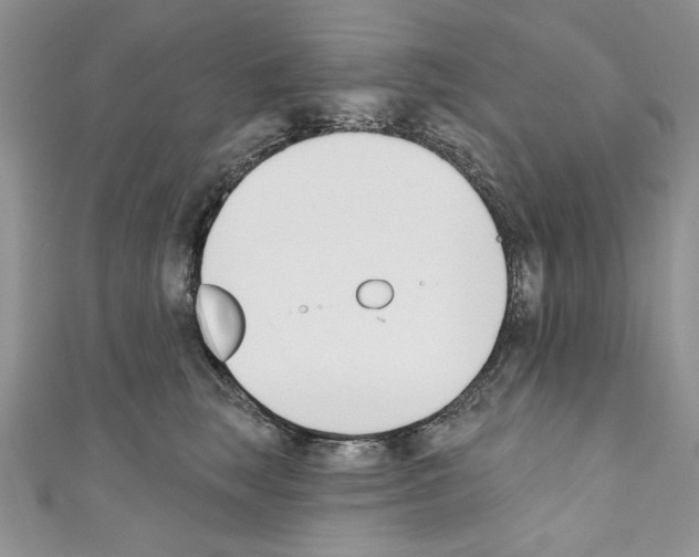 X0000110740663200907271102