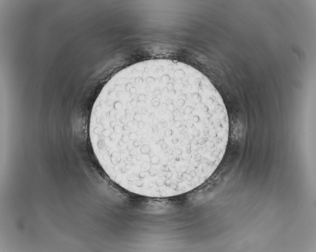 X0000110740666200907271103