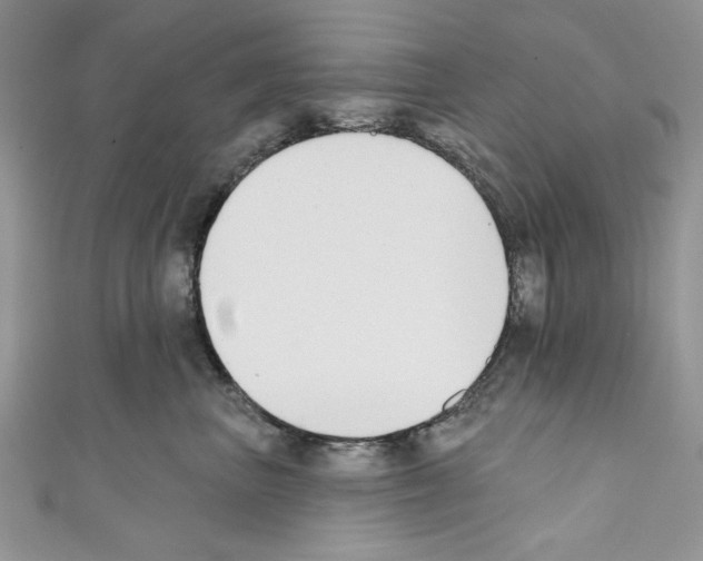 X0000110740667200907271103