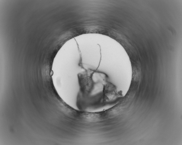 X0000110740670200907271103