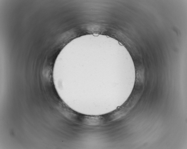 X0000110740671200907271103