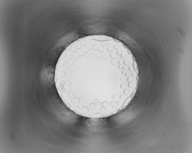 X0000110740672200907271103