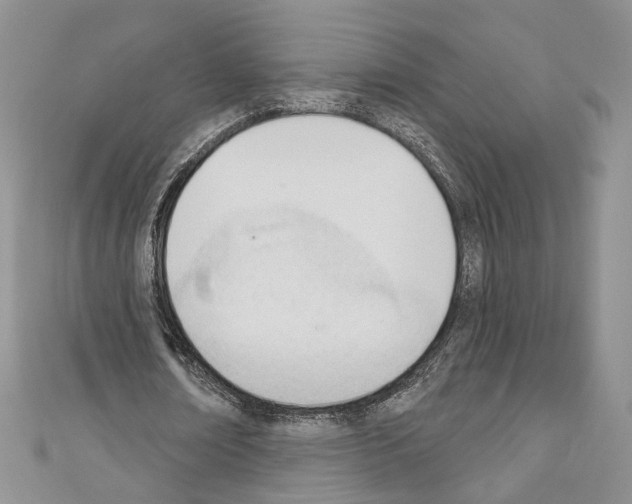 X0000110740674200907271102