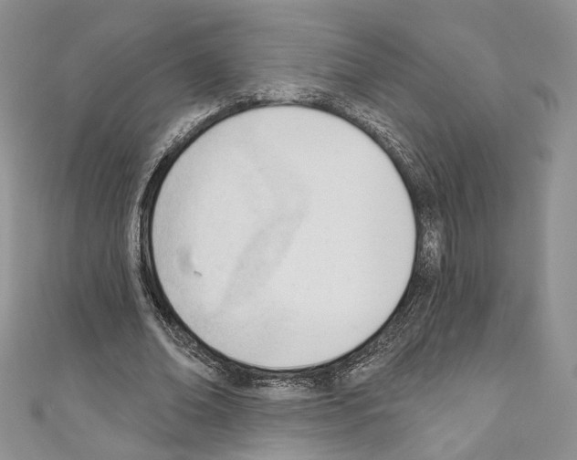 X0000110740678200907271102