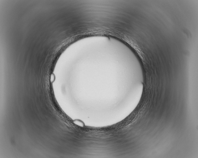 X0000110740681200907271102