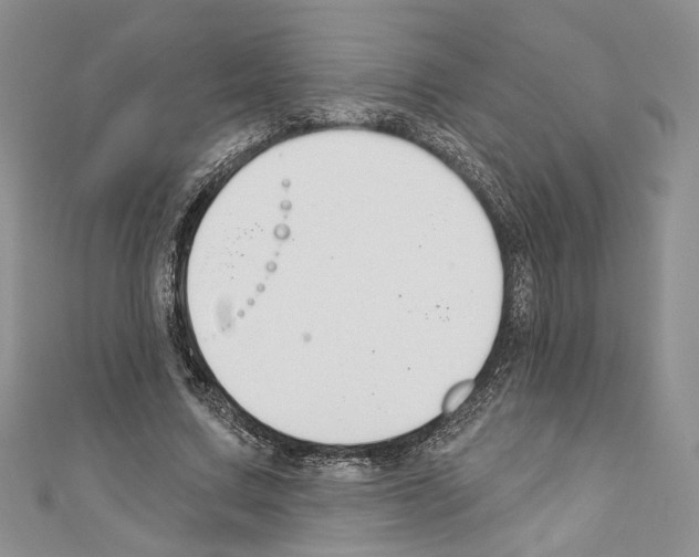 X0000110740683200907271102