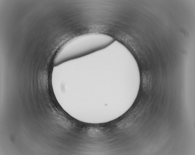 X0000110740684200907271102