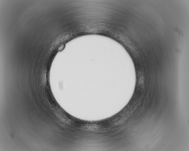 X0000110740685200907271102