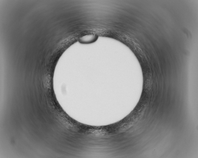 X0000110740689200907271102