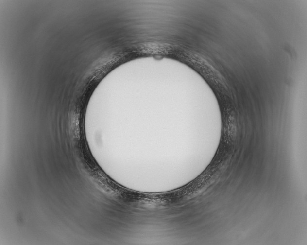 X0000110740696200907271102