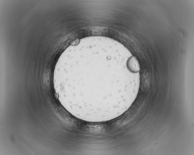 X0000110740698200907271102