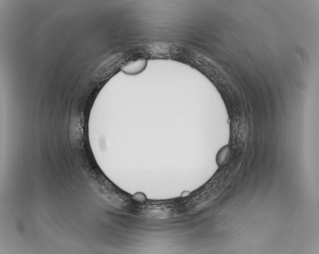 X0000110740702200907271102