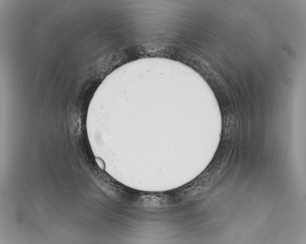 X0000110740703200907271102