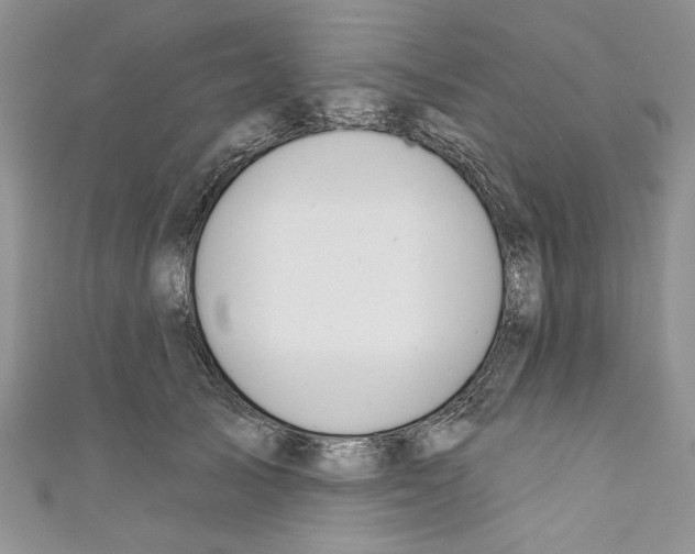 X0000110740705200907271102