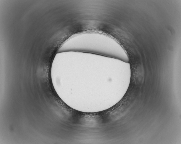 X0000110740708200907271102
