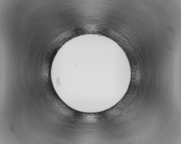 X0000110740710200907271101