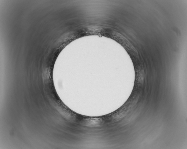 X0000110740711200907271101