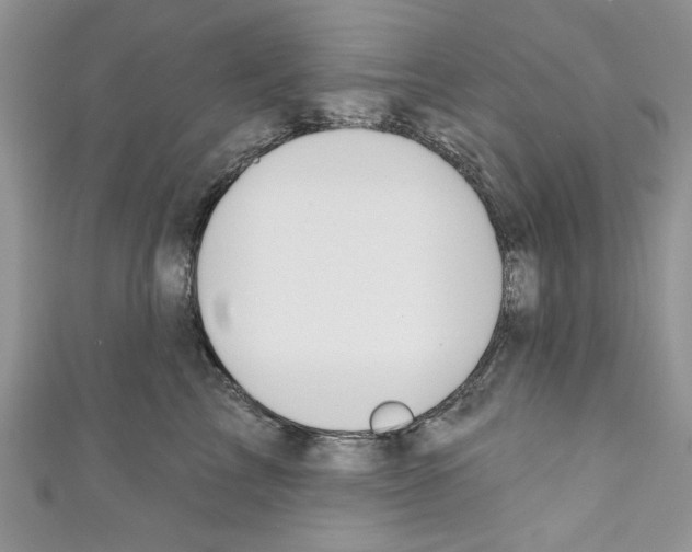 X0000110740713200907271101
