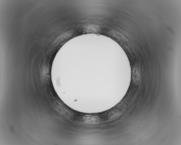 X0000110740714200907271101