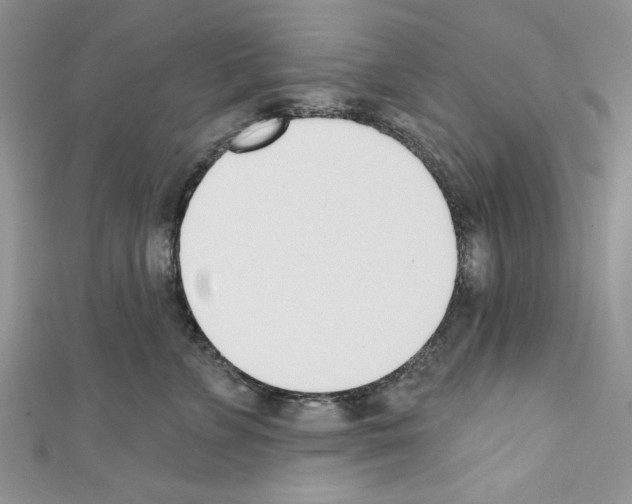 X0000110740715200907271101