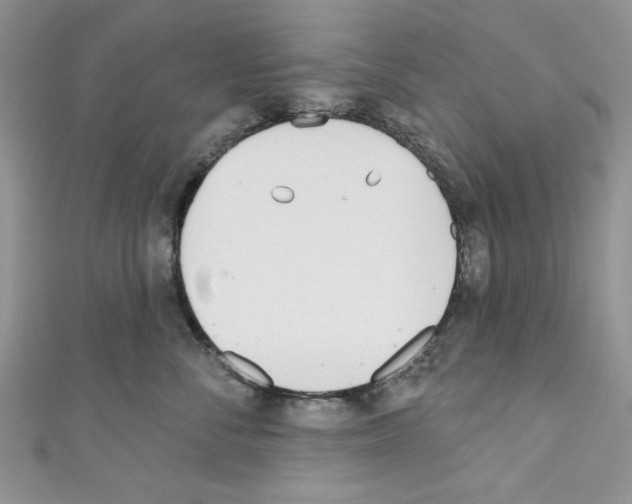 X0000110740716200907271101