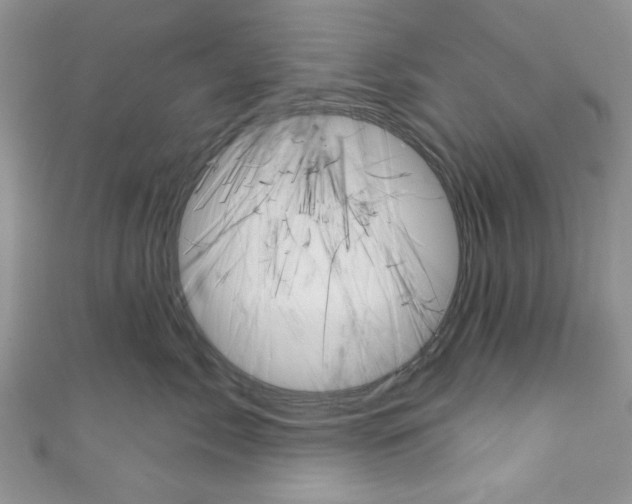 X0000110740717200907271101