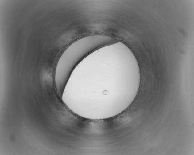 X0000110740720200907271101