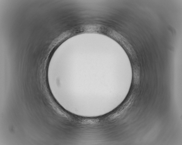 X0000110740721200907271101
