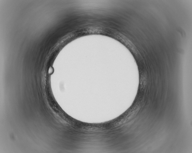 X0000110740722200907271101