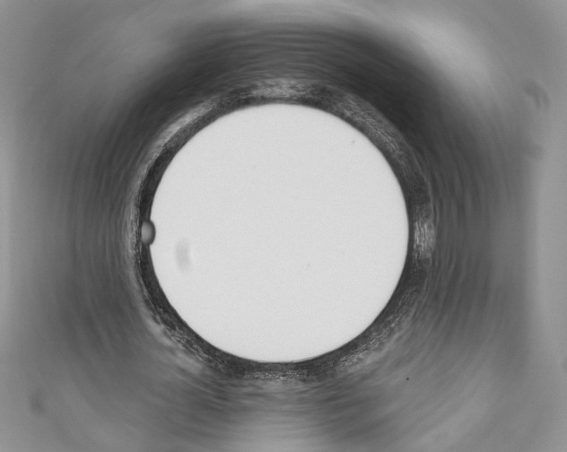 X0000110740724200907271101