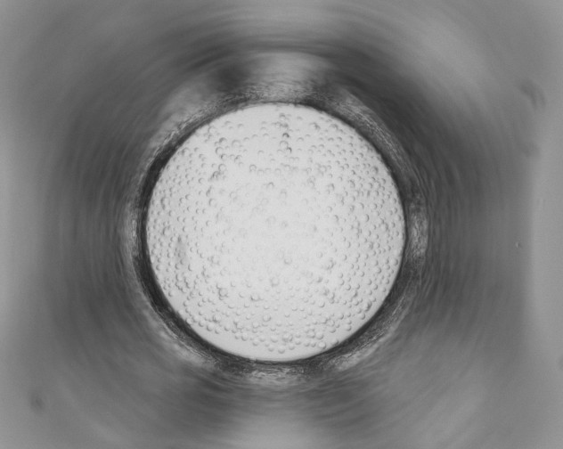 X0000110740725200907271101