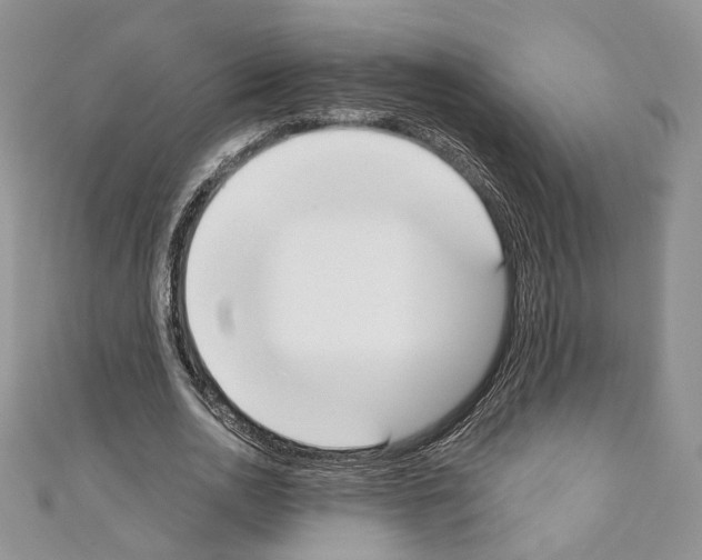 X0000110740726200907271101